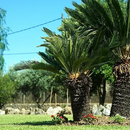 Villa Seguinot
