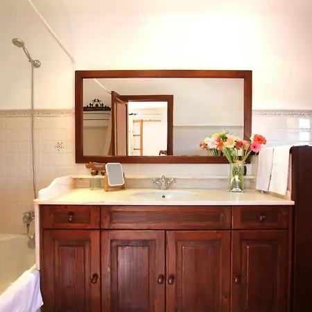 Seguinot بويينسا