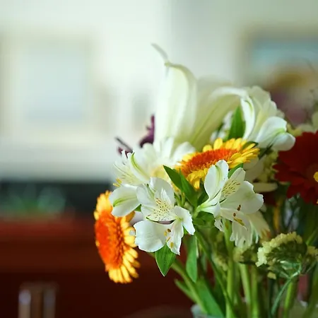 Seguinot * بويينسا